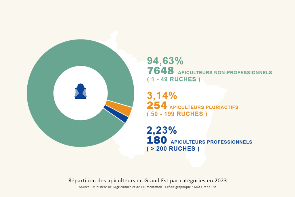 La filière apicole : un secteur en plein essor dans le Grand Est