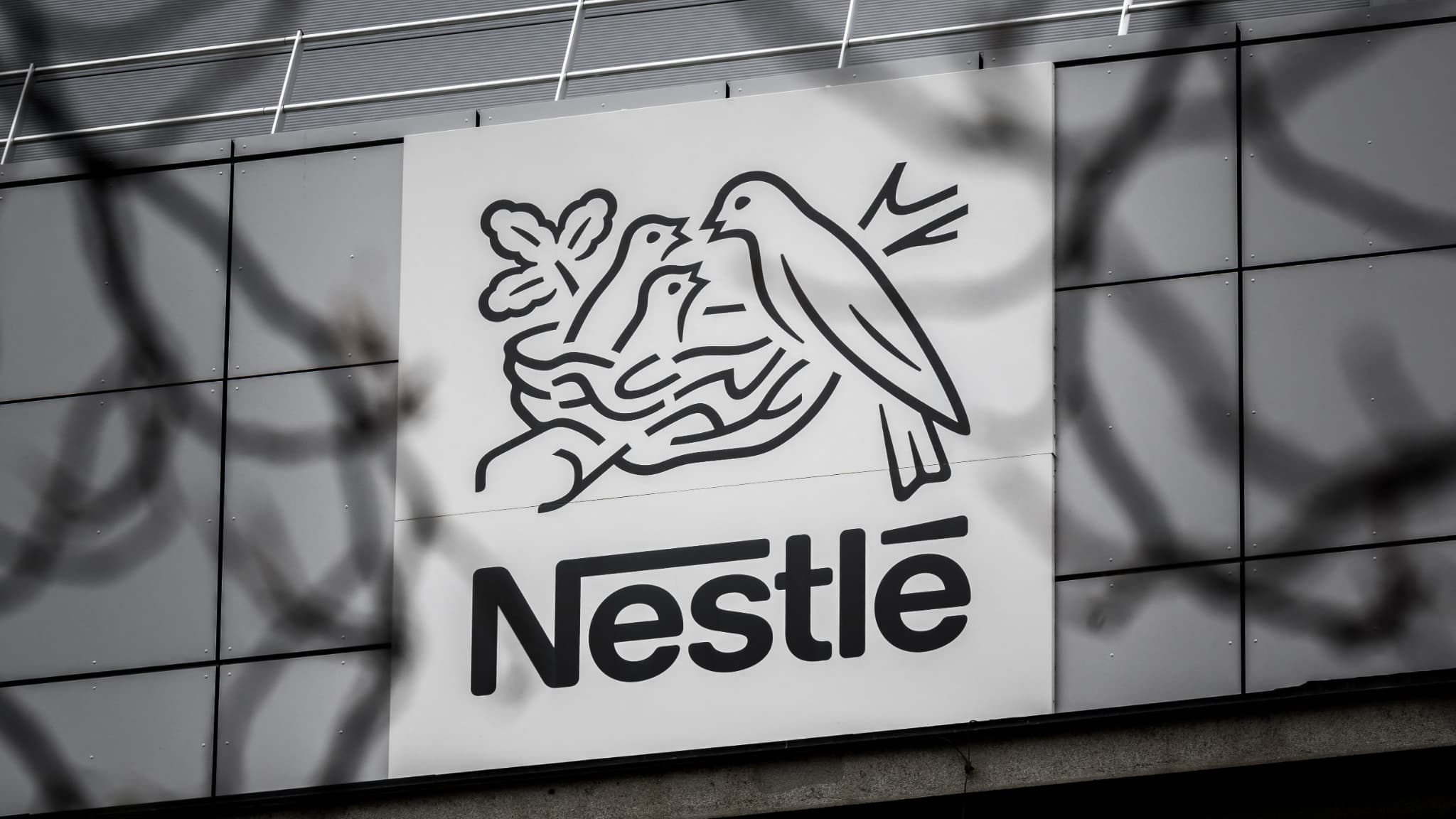 Scandale : Nestlé contourne la réglementation grâce au lobbying politique